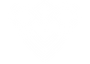 VICTORY'S VISION